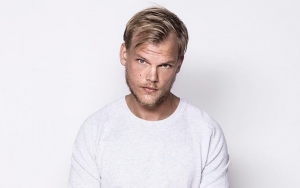 DJ Avicii Is Found Dead at 28, He Was Battling Pancreatitis