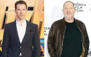 Benedict Cumberbatch Is Fine to Delay 'Current War' Release After Harvey Weinstein Scandal