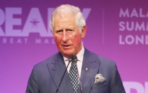 Prince Charles Expresses 'Great Joy' After Welcoming New Grandson