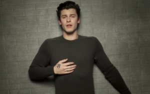 Shawn Mendes Braves Brutal Storm in Emotional Music Video for 'In My Blood'