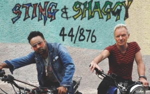 Shaggy Scares Sting by Breaking Royal Protocol at Queen Elizabeth II's Birthday