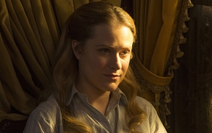 Evan Rachel Wood Hits Back at Troll Who Criticised Her Acting