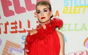 Katy Perry Comes Under Fire Over Her Lion Selfies