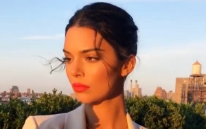 Kendall Jenner Denies Pushing Security at 2018 Met Gala