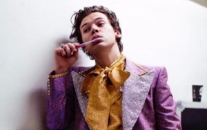 Harry Styles' Hollywood Adventure to Be a TV Sitcom