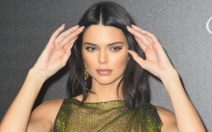 Braless Kendall Jenner Flashes Nipples in See-Through Dress at Cannes Film Festival