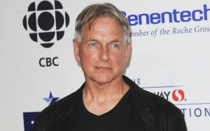 Mark Harmon Mourns the Death of Actress Sister Kristin Nelson