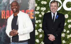 Terry Crews Credits Mark Hamill for 'Brooklyn Nine-Nine' Revival
