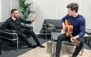 Liam Payne Wants to Help Shawn Mendes Avoid Pressures of Fame