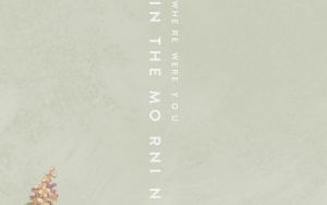 Shawn Mendes Debuts One-Night Stand Ballad 'Where Were You in the Morning'