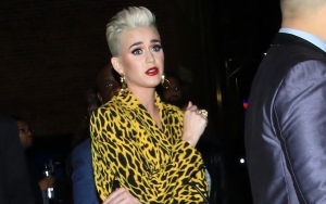 Katy Perry Confirms She's 'Not Single!'