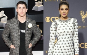 Heating Up? Nick Jonas and Priyanka Chopra Reportedly Have 'Amazing Sex'