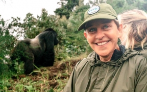 Ellen DeGeneres Documents Encounter With Mountain Gorillas in Rwanda