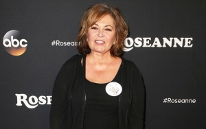 Roseanne Barr Begged ABC Execs to Save Show for the Sake of Cast and Crew