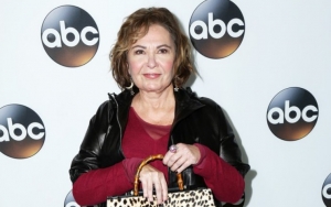 Roseanne Barr Cancels Podcast Interview Following Racist Tweet Controversy