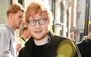 Ed Sheeran Hires Experts to Hunt for Newts Amid Battle to Build Private Chapel