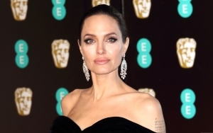 Rep Denies Angelina Jolie Is at Risk of Losing Custody of Her Children With Brad Pitt