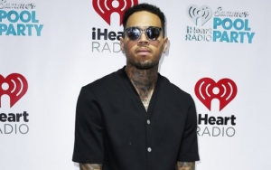 Chris Brown Slapped With Restraining Order by Party Guest