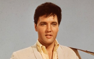 Elvis Presley's Former Private Jet Is Up for Sale Again