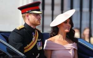 Report: Prince Harry and Meghan Markle Expecting Twins Together