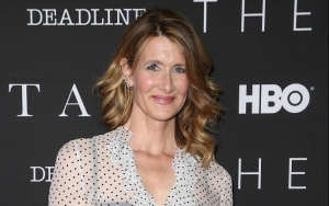 Laura Dern Develops 'Mr. and Mrs. American Pie' Series