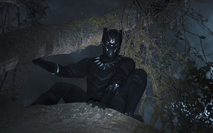'Black Panther' Costumes and Props Coming to Smithsonian African-American Museum