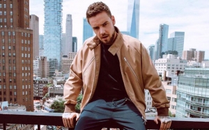 Liam Payne Mocked for Interview About Pride 2018