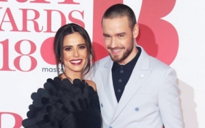 Liam Payne and Cheryl Split