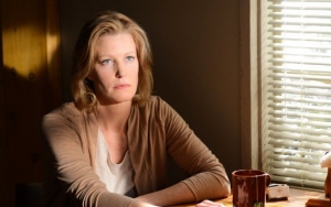 Anna Gunn Feels the Wrath of 'Breaking Bad' Fans for Her Character Skylar