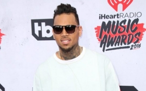 Report: Chris Brown's Arrest Related to Alleged Photographer Attack