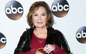 Roseanne Barr Announces First TV Interview Following Show Cancellation