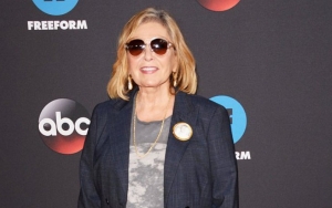Roseanne Barr Backs Out of TV Interview, Plans Interview With Herself
