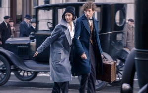 Eddie Redmayne and Katherine Waterston Frustrated by 'Fantastic Beasts' Sequel's Romance Plot