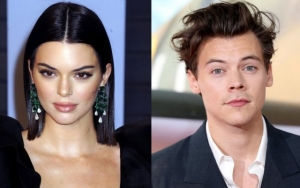 Kendall Jenner Spotted Cheering On Ex Harry Styles at Final Tour Show