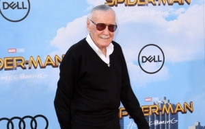 Stan Lee Honors Steve Ditko: 'His Talent Was Incredible'