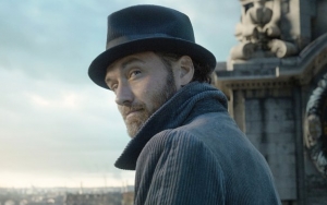 Jude Law Addressed Dumbledore's Sexuality in 'Fantastic Beasts'