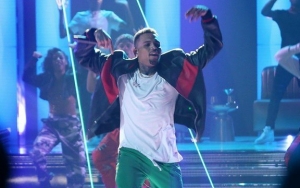 Chris Brown Saves Fainting Fan From Collapsing Onstage