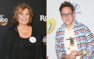 Roseanne Barr 'Disgusted' by Support for James Gunn After Rape Jokes