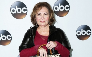 Roseanne Barr Sets to Have First TV Interview on 'Hannity'