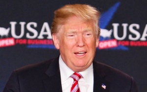 Someone Destroys Donald Trump's Hollywood Walk of Fame Star With Pickaxe