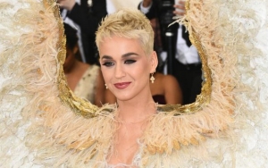 Katy Perry Wishes to Star in Comedy Movie