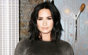 Demi Lovato's Assistant Asks for 'No Sirens' in Released 911 Call