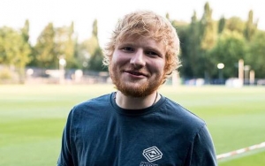 Ed Sheeran's Instagram Account for His Cats Garners 100K Followers in One Day