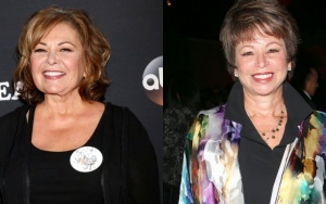 Roseanne Barr Slams Valerie Jarrett's Haircut While Apologizing to Her for Racist Tweet