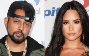 Sean Paul Blames Music Industry for Demi Lovato's Overdose