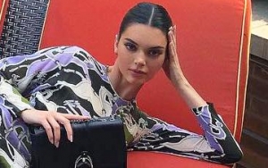 Kendall Jenner Accused of Fleeing Scene After Her Doberman Bites Little Girl