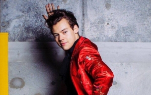 Harry Styles Used to Live in Attic for Nearly 2 Years