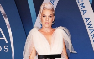Pink Forced to Postpone Third Sydney Show Due to Stomach Virus 