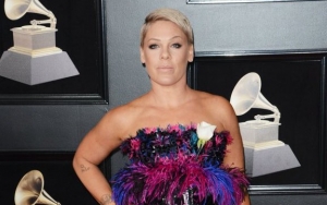 Pink Opens Up in Lengthy Message After Cancelling Third Sydney Concert