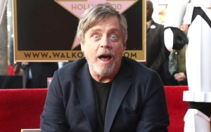 Mark Hamill Cast As Veteran Knights Templar Guardian on 'Knightfall'